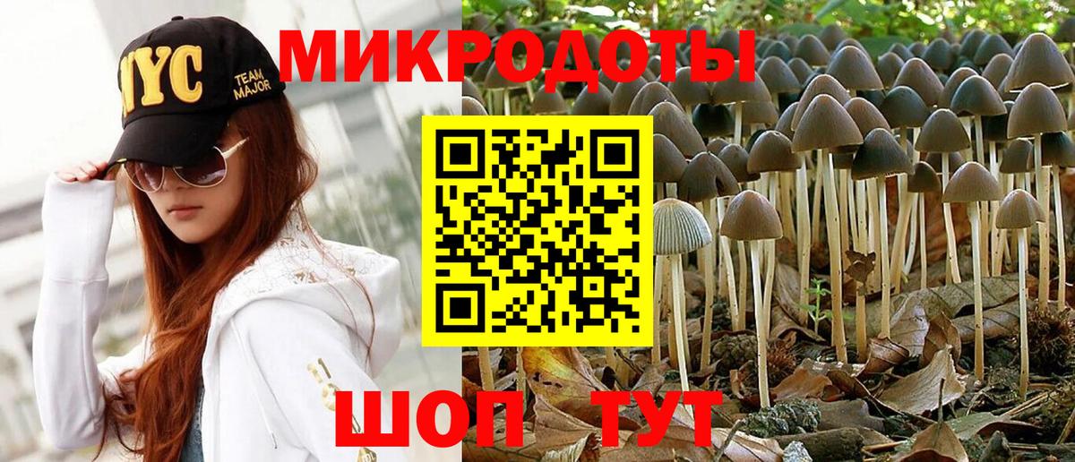 Галлюциногенные грибы Psilocybine cubensis Братск