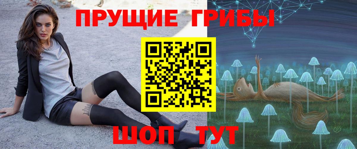 Братск  Псилоцибиновые грибы Psilocybine cubensis  Псилоцибиновые грибы GOLDEN TEACHER  Вход с VPN 